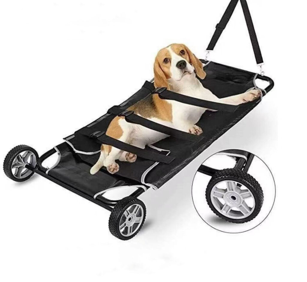 Camilla para perros