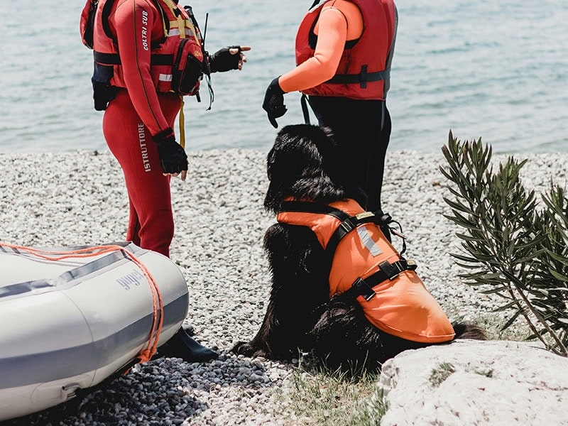Water Sports Organizations-application-Swiftwater rescue