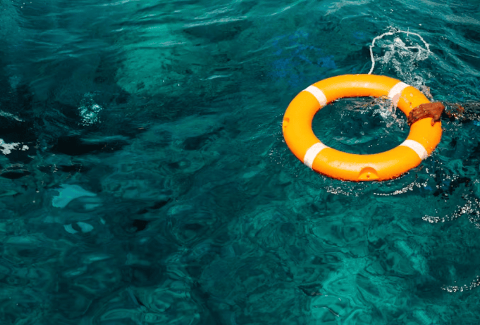 life buoy